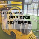 드림랜드 | 천안 아기랑 가볼만한 곳, 테테루드림랜드 키즈카페 방문 후기
