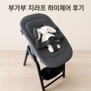 하이세탁 | 부가부 지라프 하이체어 블랙 뉴본 세트 세탁 내돈내산 후기