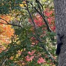 새터근린공원 이미지