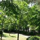 부평동아 이미지