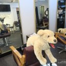 주흥길 25 이미지