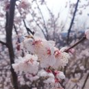 솔솔조경건설