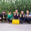 수통리 체험마을 이미지