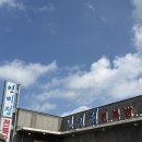 연미정 | 제주 동쪽 혼밥 식당 후기 | 연미정 전복솥밥 , 모자심 접짝뼈국, 플레이스엉물 브런치