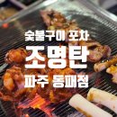 조명탄 파주동패점 이미지