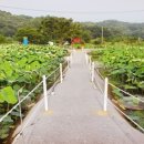 꽃뫼카페휴게소 이미지