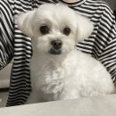 잘가 8월