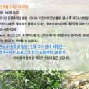 여행으로크는아이들굴렁쇠 이미지
