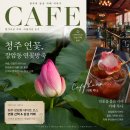 루나 | 청주 장암동 연꽃방죽 데이트 카페 루나 힐링 후기