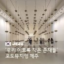 제주포도 | 포도뮤지엄 전시 후기와 할인 정보 제주 비오는날 가볼만한 곳 미술관 여행