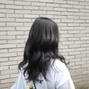 안전지대미용실 이미지