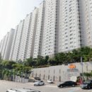 성모엔젤약국 이미지