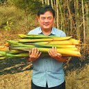 황금유통 이미지