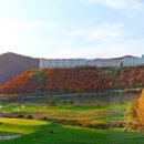 푸른산 디자인 네이버블로그