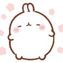 셀린 피트니스 이미지