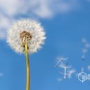 아이숲안과의원 이미지