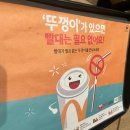 맥도날드 고양덕이 DT점 맥모닝 방문후기 (맥그리들)