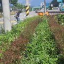 대소원면 행정복지센터 이미지