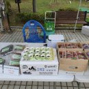 월선리예술인촌정보화마을