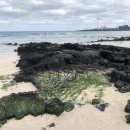 카페아담 이미지