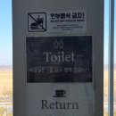 535 | 파주 대형 카페 추천 문지리535 내돈내산 후기