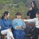 벚꽃치과의원 이미지