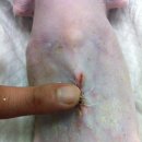 달링동물병원 이미지