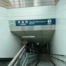 고도를 기라디며 - 텍스트 읽기 | 카페🍃💦여름의 푸르름을 채우러!대전 구암 &#34; 카페 나무 &#34; 방문후기