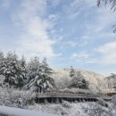 강우진 행정사 사무소 이미지