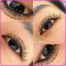 다인뷰티 이미지