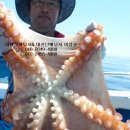 속초해변펜션 이미지