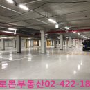 솔로몬 공인중개사사무소 이미지
