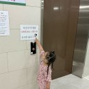 청진교통(주) | 부산 영유아검진병원 추천 | 사하구 부산더키즈병원 방문. 유앤밸런스와 비교한 솔직후기