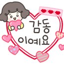 아침고요체험 살피꽃다방 네이버블로그