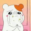 보오 이미지