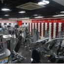 스타휘트니스 이미지