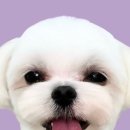 장지3길 2 이미지