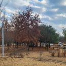 강당말공원 이미지