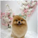 행복한미용