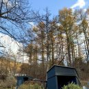 마이포레중미산 이미지