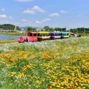 제44회 남도국악제 이미지