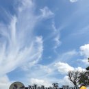 조수목장 이미지