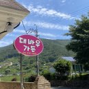 대바우가든 민박 | [울산물놀이] 대바우가든