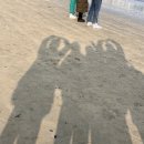 투다리황지점 | 1월 밀린 일기