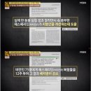 깔라만시효능/깔라만시다이어트
