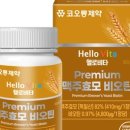 케이에프글로벌 이미지