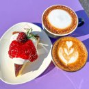 시랑이랑 이미지