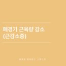 플레로필라테스