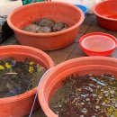 시장안주 이미지