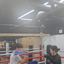 용인대 SM 복싱클럽 명일점 이미지